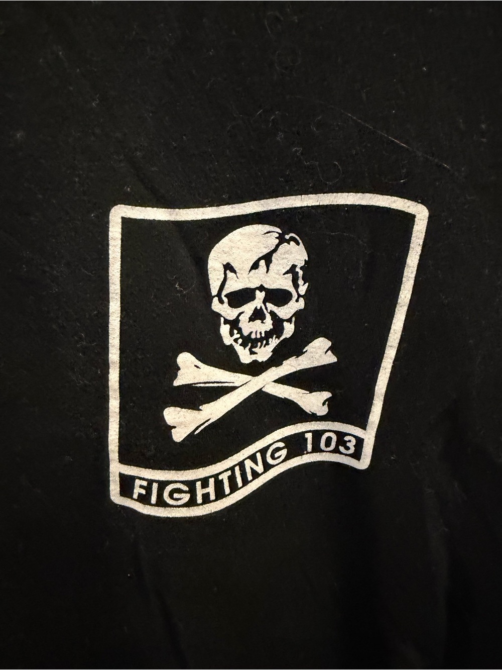 Skull & Crossbones 'Fighting 103' Graphic Tee - U.S. Navy Jolly Rogers 2XL